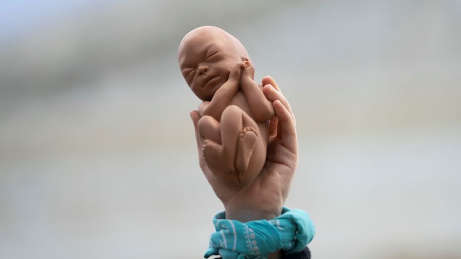 Montana Bans Second Trimester Abortion Procedures