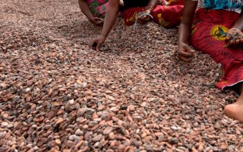 Ivory Coast Chocolate Maker Promotes Beans
