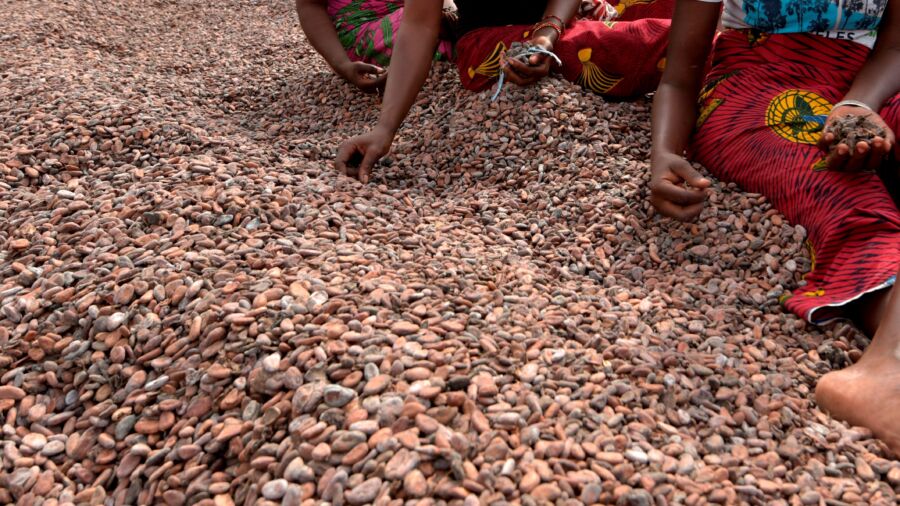 Ivory Coast Chocolate Maker Promotes Beans