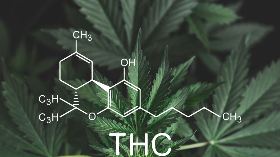 Surge in Using THC Products at Work: Analysis