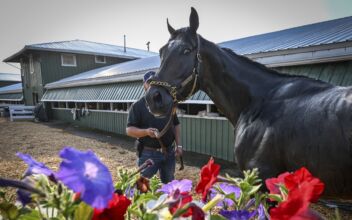 First Mission Scratched From Preakness by Vet 36 Hours Before Triple Crown Race