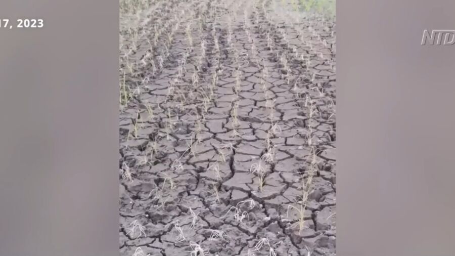 Severe Drought Dries Out Yunnan, China