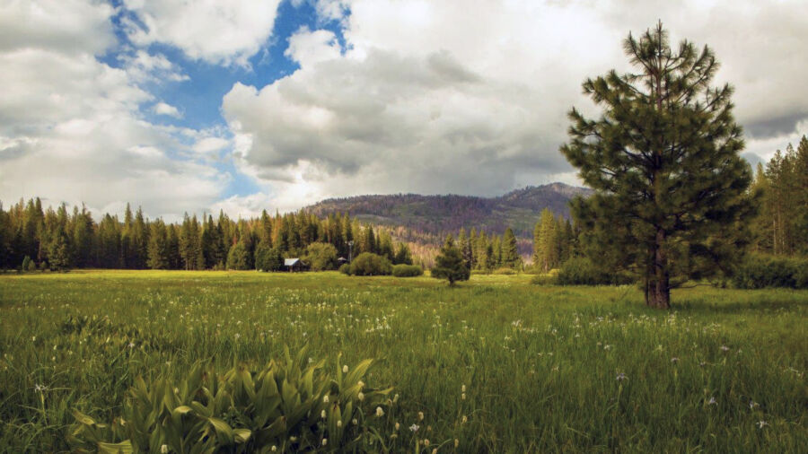 House Natural Resources Subcommittee’s Hearing on Biden’s ‘Efforts to Limit Access to Public Lands’