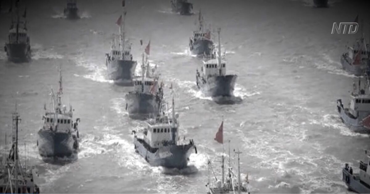 Chinese Salvage Ship Caught Looting WWII Wrecks NTD