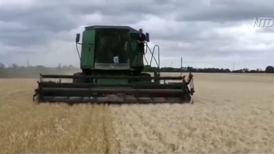 China’s Grain Hoarding Hurts US Food Supply
