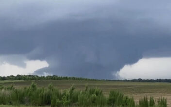 Severe Storms in Southeastern US Bring Tornadoes, Gusty Winds, Hail