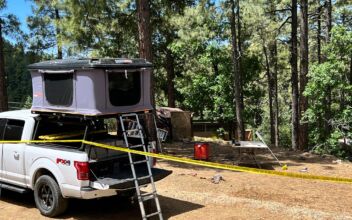 Man Dies in Bear Attack at Arizona Campsite