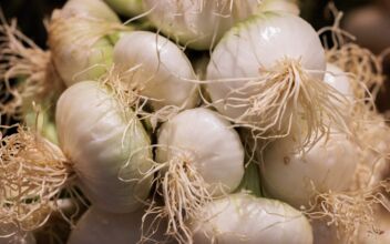 The Amazing Health Benefits of Onions
