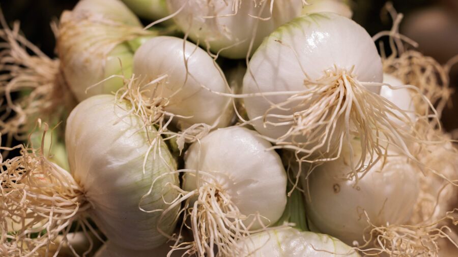 The Amazing Health Benefits of Onions