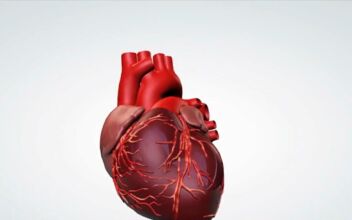 Heart Health for Women Differs From Men