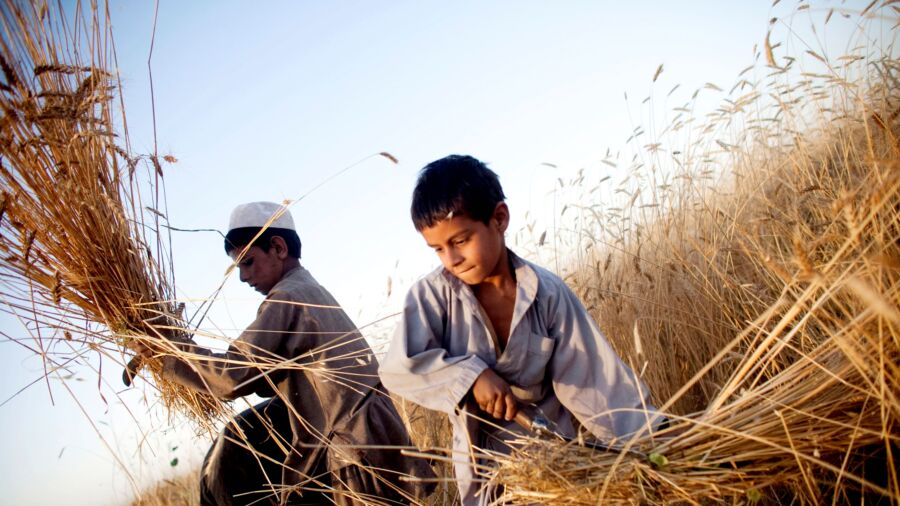 Modern Parenting Versus Parenting in Traditional Societies