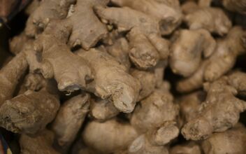 Ginger Can Help Maintain a Youthful Brain