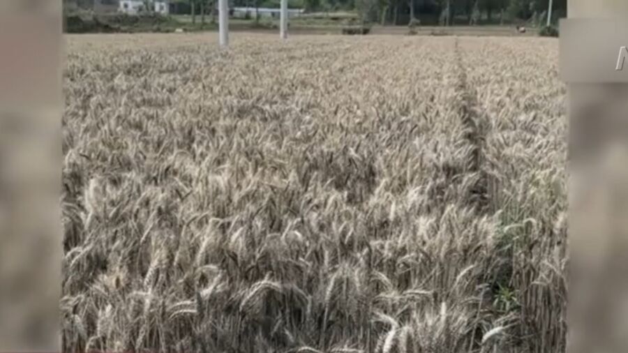 Extreme Weather Destroys Farms in China