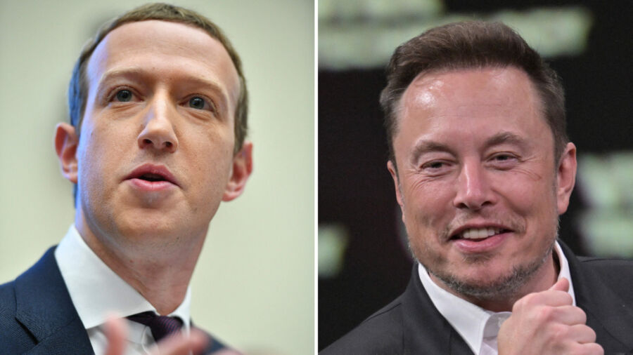 Musk, Zuckerberg Seen Training for Cage Fight