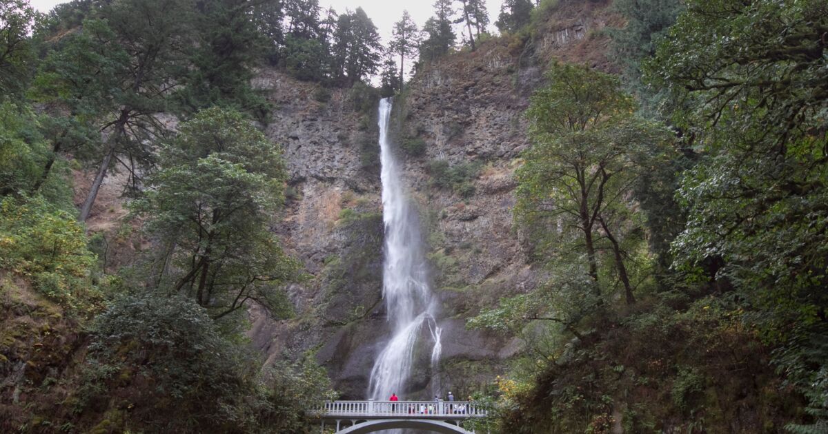 Father Dies After Falling Over 100 Feet From An Oregon Trails Cliff