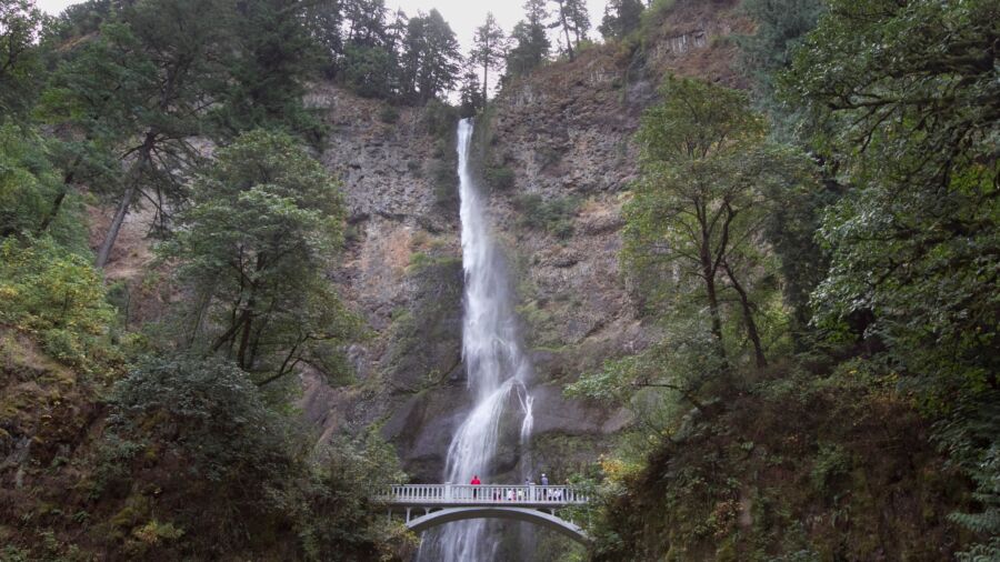 Father Dies After Falling Over 100 Feet From an Oregon Trail’s Cliff While Hiking With Family, Authorities Say
