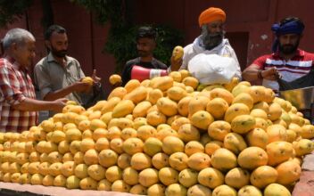‘Fruit Diplomacy’: China Bans Taiwanese Mango Imports
