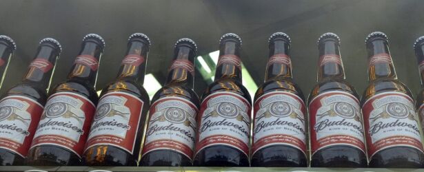 Bottles Of Budweiser Beer