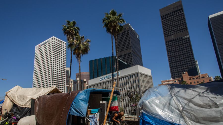 Mass Illegal Immigration Causing Health Care, Job Scarcities in Los Angeles: Expert