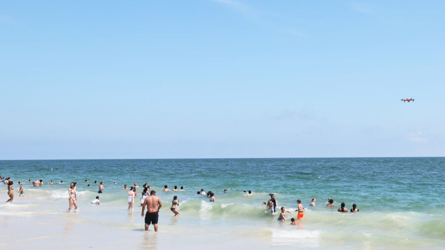 What to Do If a Shark Attacks