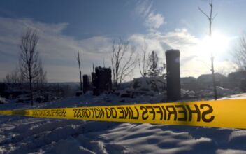 3 Badly Decomposing Bodies Found in Remote Colorado Campsite