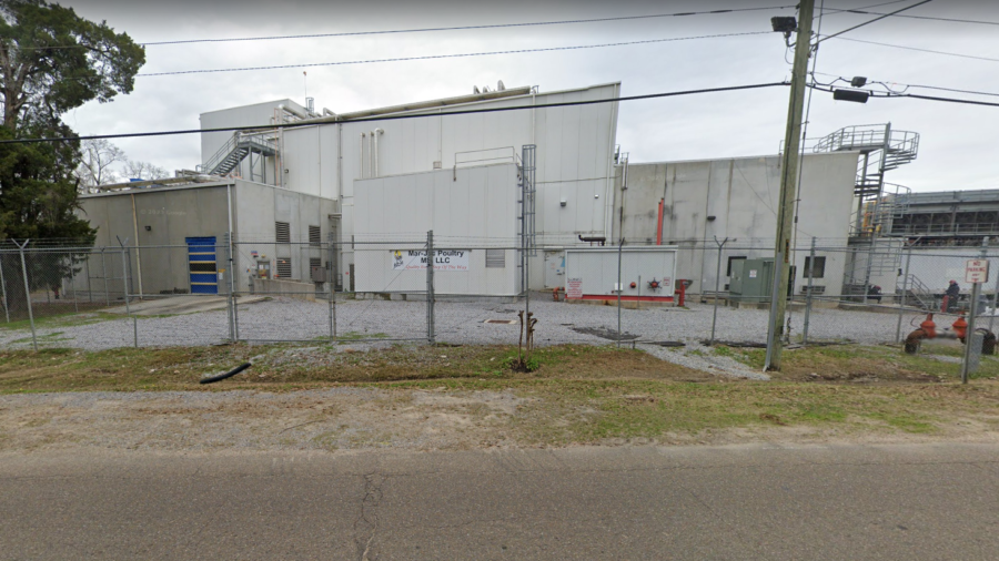 A 16-Year-Old Has Died at a Mississippi Poultry Processing Plant, County Coroner Says