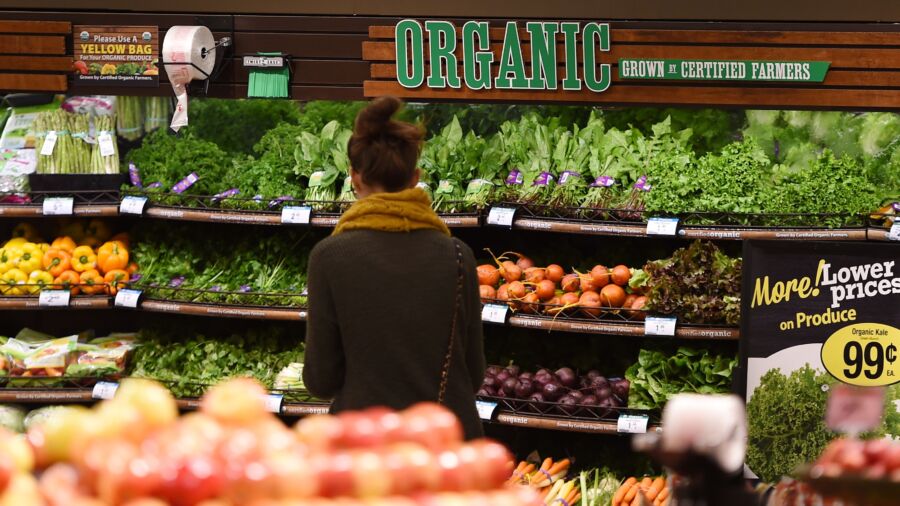 Top 10 Superfoods as Recommended by Nutritionist Amy Fischer