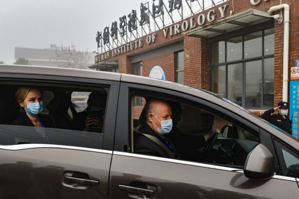 Peter Daszak of the EcoHealth Alliance (R) and other members of the World Health Organization (WHO) team investigating the origins of the COVID-19 coronavirus, arrive at the Wuhan Institute of Virology in China on Feb. 3, 2021. (Hector Retamal/AFP via Getty Images)