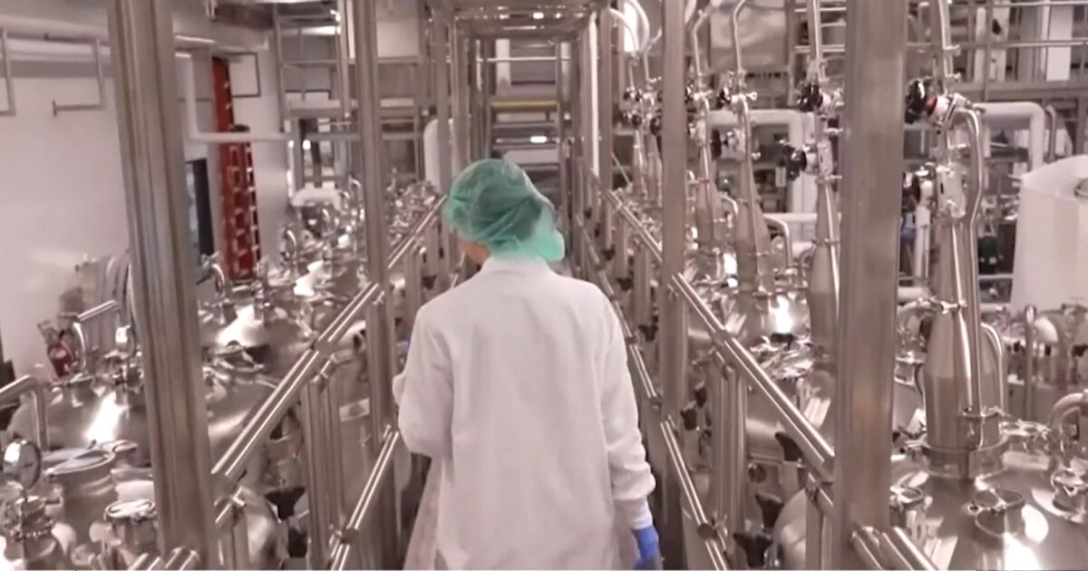 Lab Grown Artificial ‘Meat’ May Actually Be Worse for the Environment