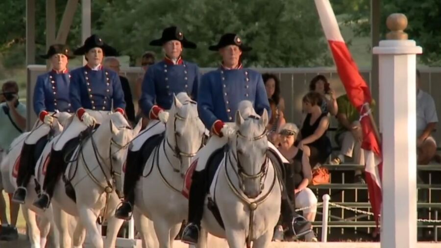 Dressage, the Horsemanship of Nobility: 'Dancing Through the Decades' in Illinois