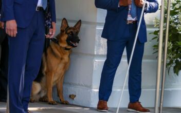 Biden’s Dog ‘Commander’ Involved in Further Biting Attack on Secret Service Agent