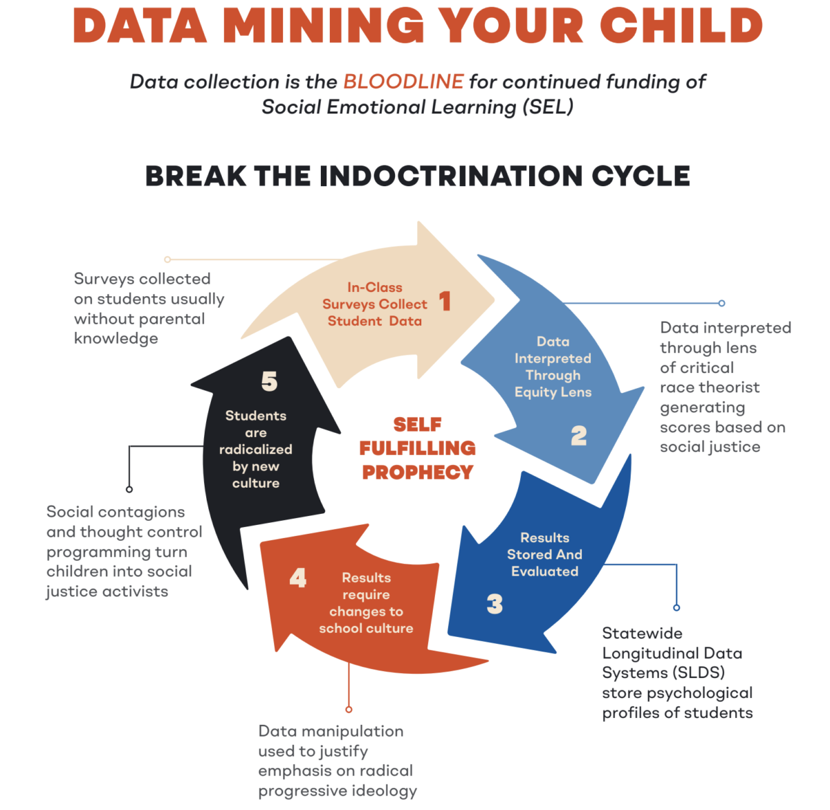 K-12 data collection cycle