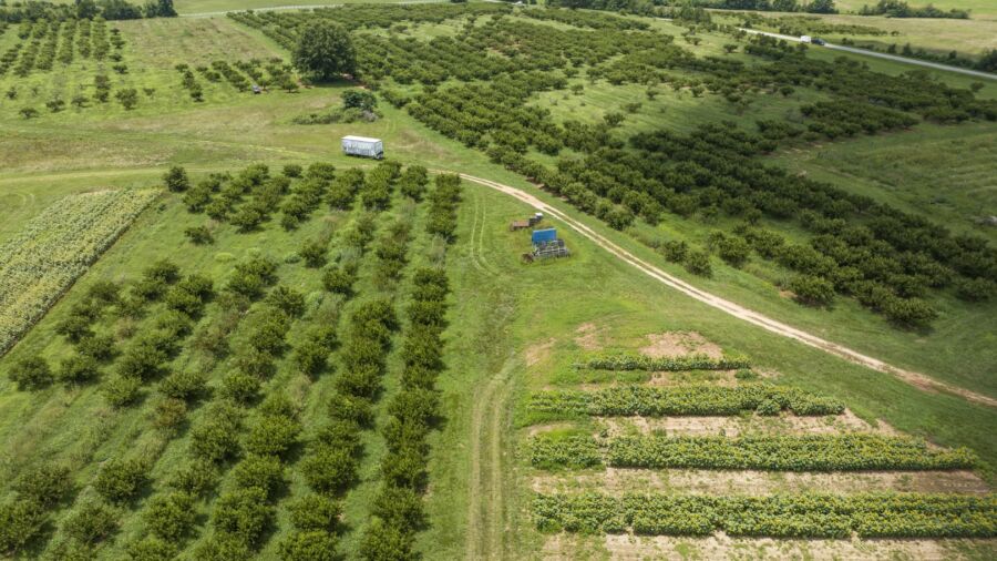 Chinese Man Digging Up Seeds on US Farm: Hearing on CCP Theft of US Agricultural Tech