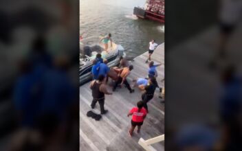 5 People Have Pleaded Not Guilty to Alabama Riverfront Brawl Charges