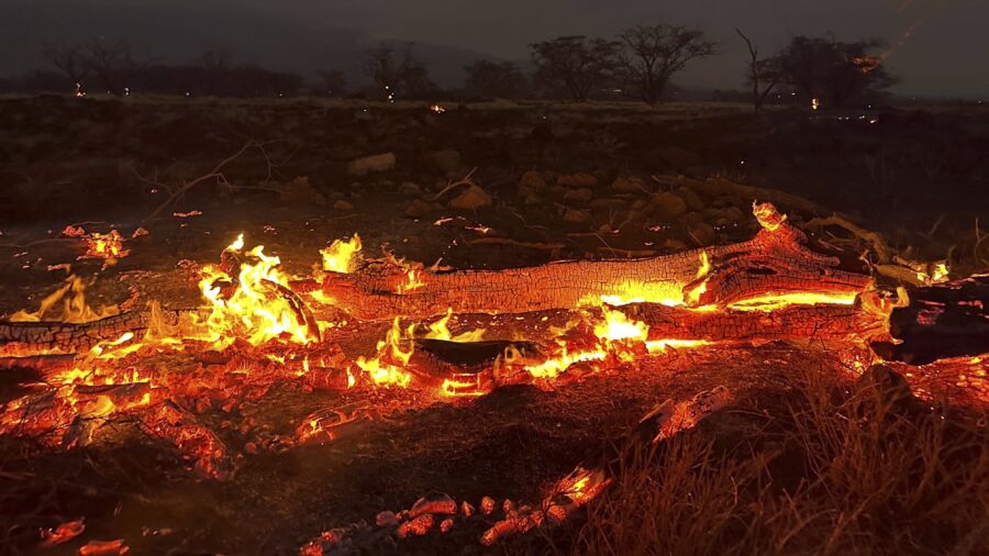Hawaii Wildfires Death Toll Rises to 55; Historic Lahaina Burned Down