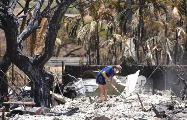 Hawaii Fires