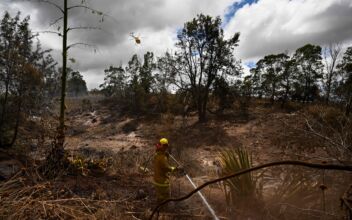 96 Confirmed Dead in Maui Wildfires, Search for the Missing Continues