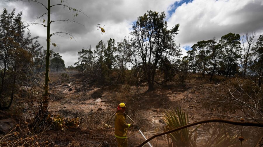 96 Confirmed Dead in Maui Wildfires, Search for the Missing Continues