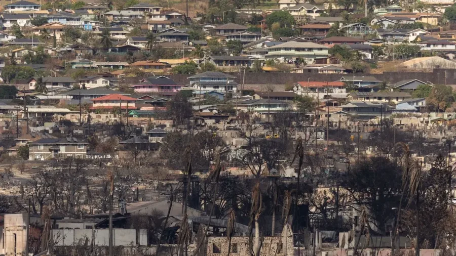 What Caused the Deadly Wildfires in Hawaii: Jarrett Stepman Gives Analysis