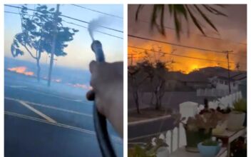 Videos Put Scrutiny on Downed Power Lines as Possible Cause of Deadly Maui Wildfires