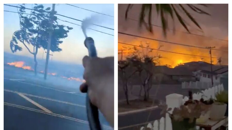 Videos Put Scrutiny on Downed Power Lines as Possible Cause of Deadly Maui Wildfires