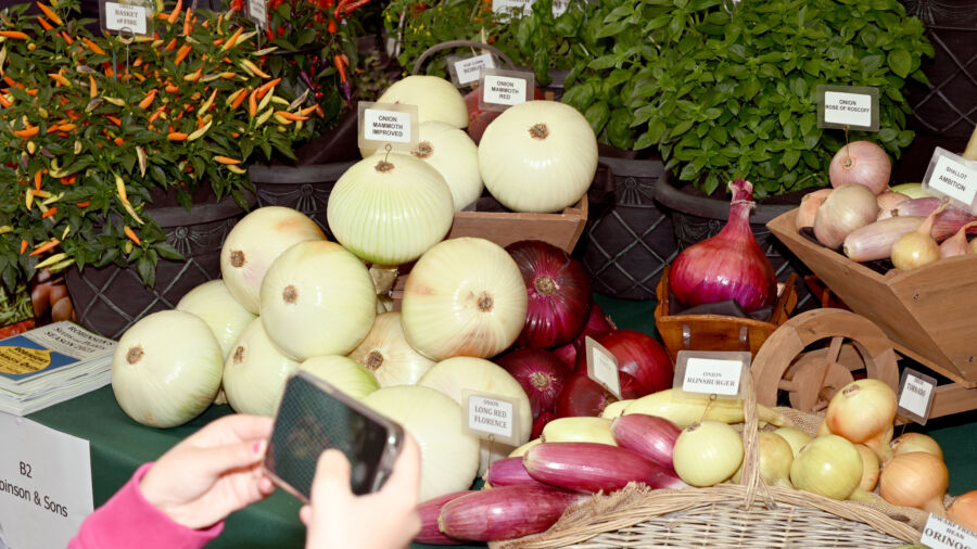 Why Washing Fruits and Vegetables Is Essential