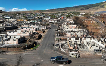 Pentagon Sends 700 Military Personnel Aid for Maui Recovery