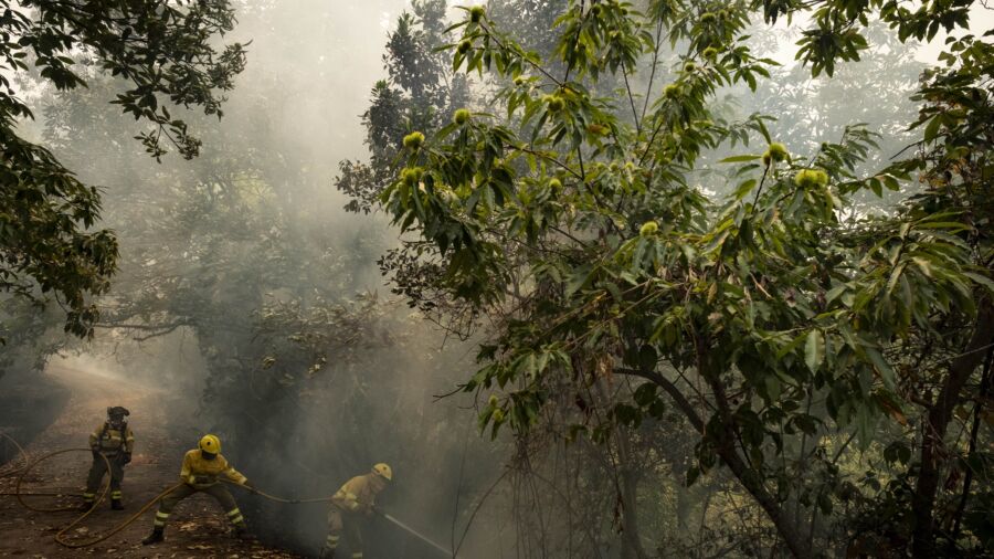 Wildfire on Spain’s Popular Tourist Island of Tenerife Was Started Deliberately, Official Says