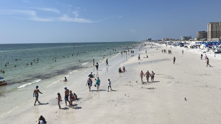 Florida Officials Confirm 5 Deaths From Flesh-Eating Bacteria in Tampa Bay