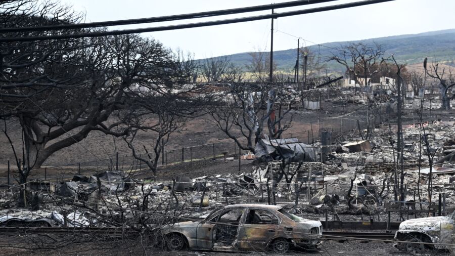 Hawaii Fire Stems From Government Failures: Environmental Attorney