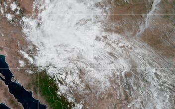 Flash Flooding Possible in Texas, New Mexico, Utah as Tropical Storm Harold Weakens to High-Rainfall Tropical Depression