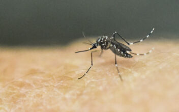 Massachusetts Reports First Human Cases of Mosquito-Borne West Nile Virus