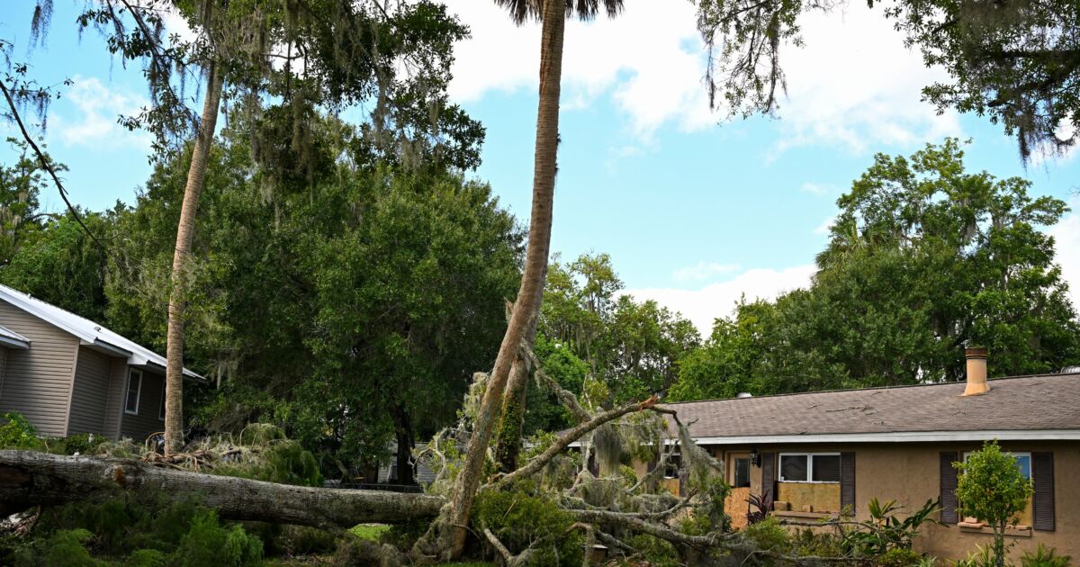 2 People Charged With Looting as Residents Worry About Burglaries ...