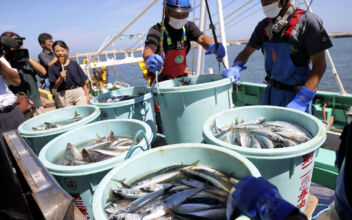 Japan Announces Emergency Relief for Seafood Exporters Hit by China’s Ban Over Fukushima Water